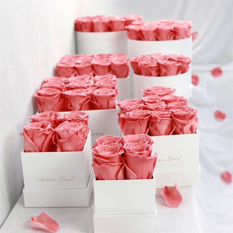 rose d'eau 16pcs