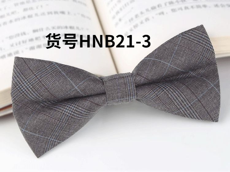 HNB21-3中国