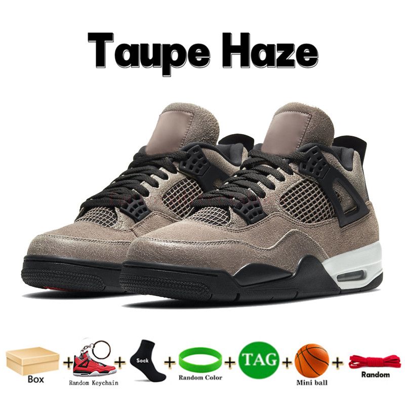 13 Taupe Dunst