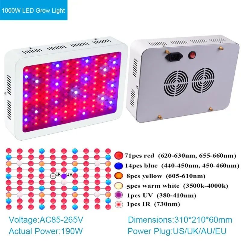 1000 W.