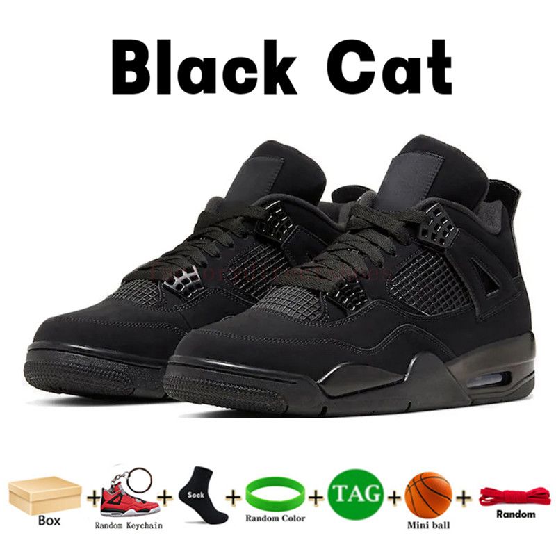 11 قطة أسود