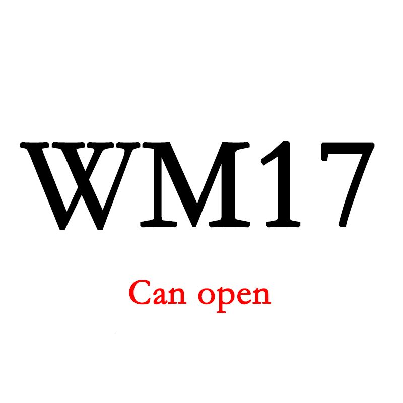 Wm17can öppen