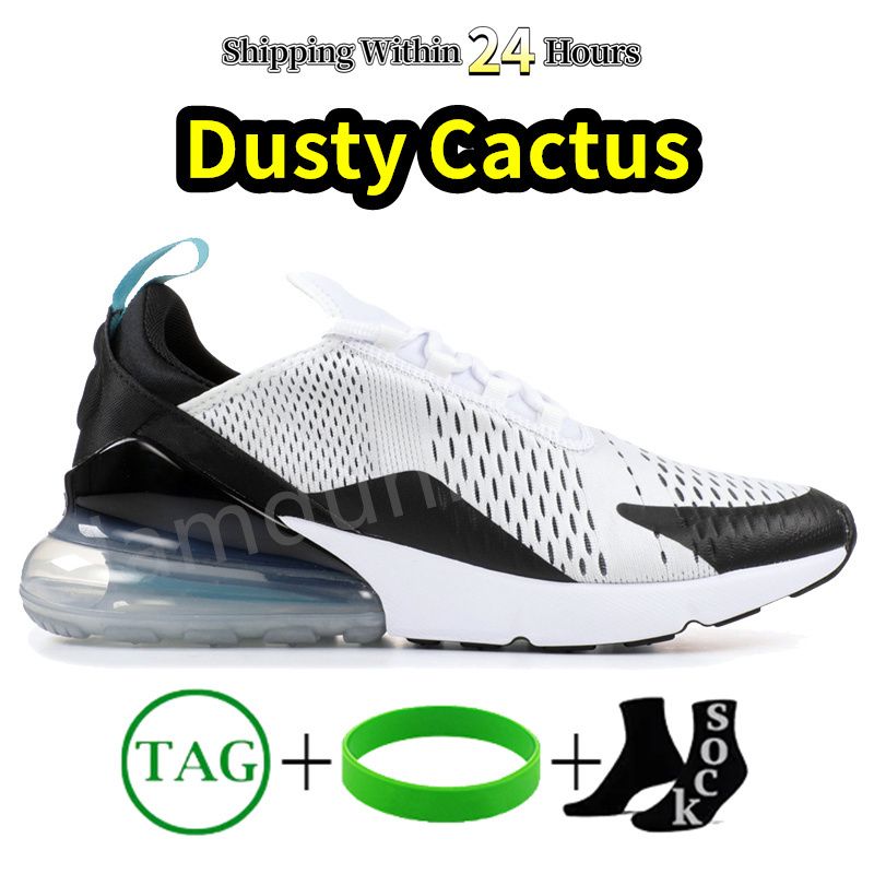 #32- Dusty Cactus