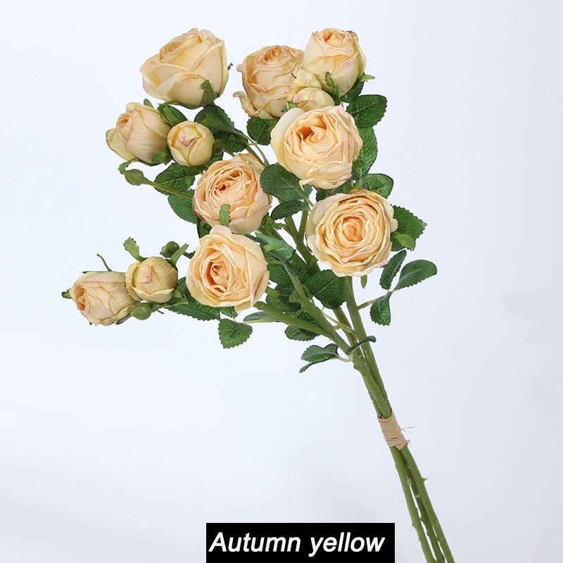 B AutumnYellow