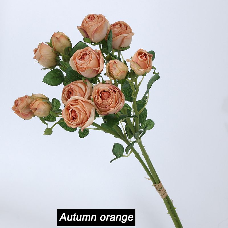 B Autumn Orange