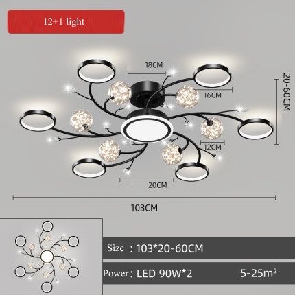 Black 13 light changeable