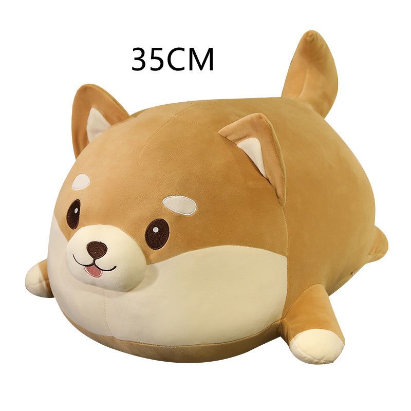 35 cm vet Shiba