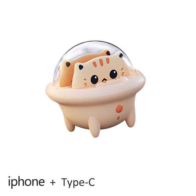 iPhone 및 typec