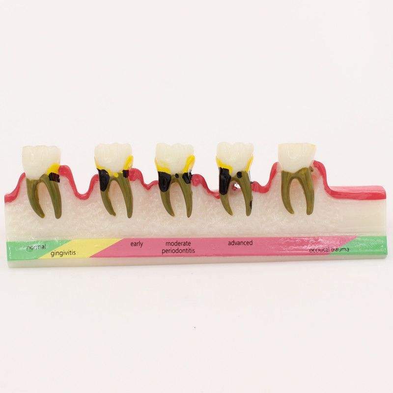 Periodontal