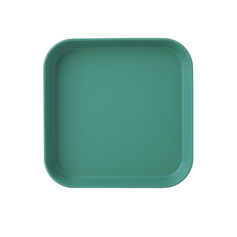 Square plate green