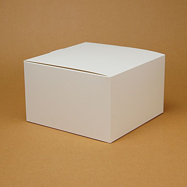 Белые 5pcs (без логотипа) 19.5x19.5x12cm