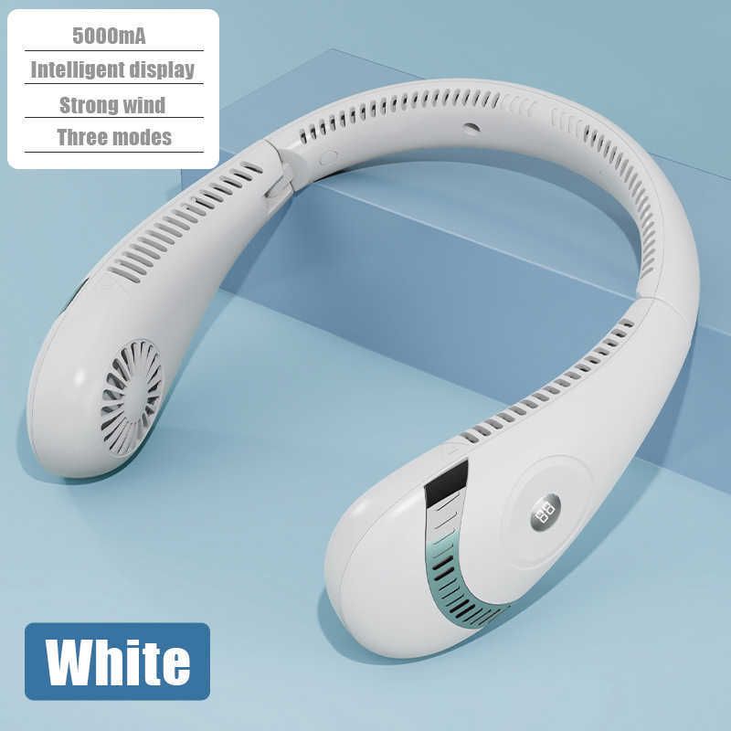 Digital Displaywhite