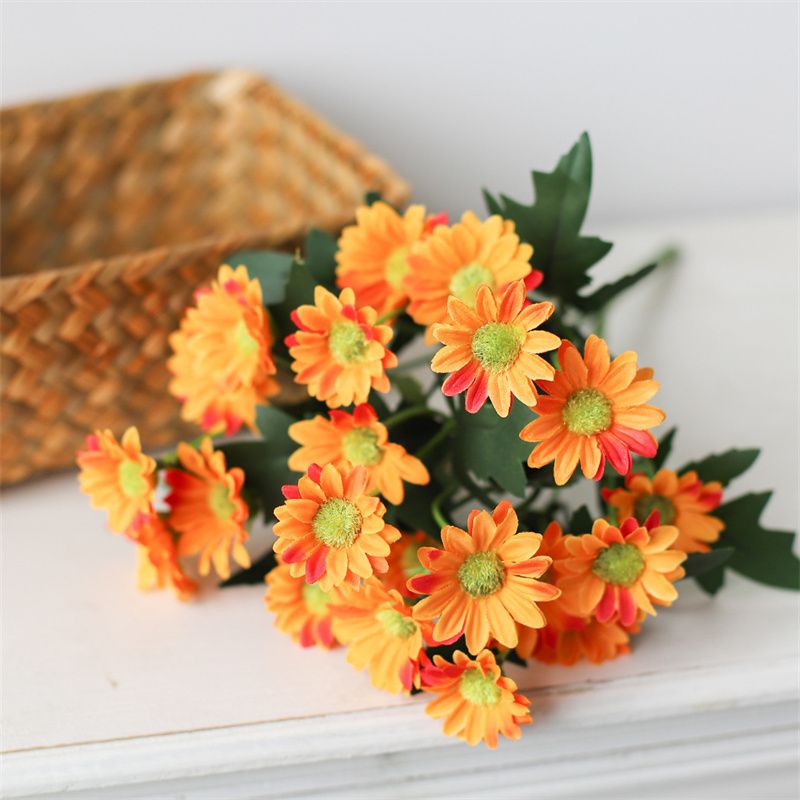 orange daisy flower