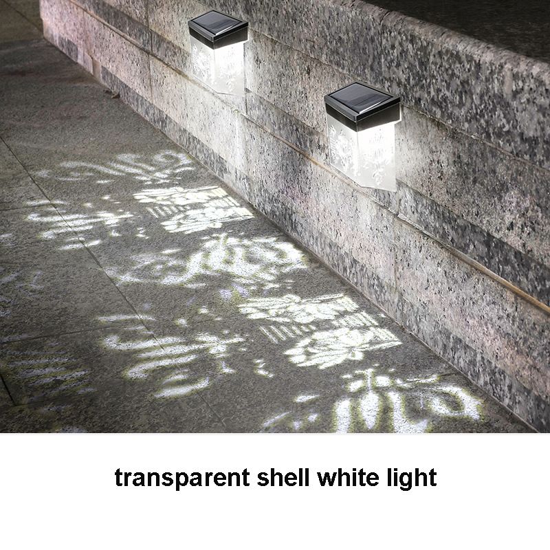 transparent shell-white light