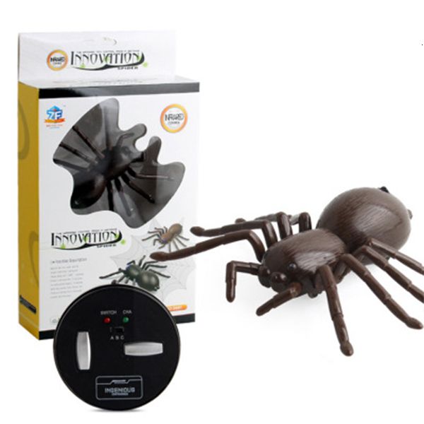 tarantula