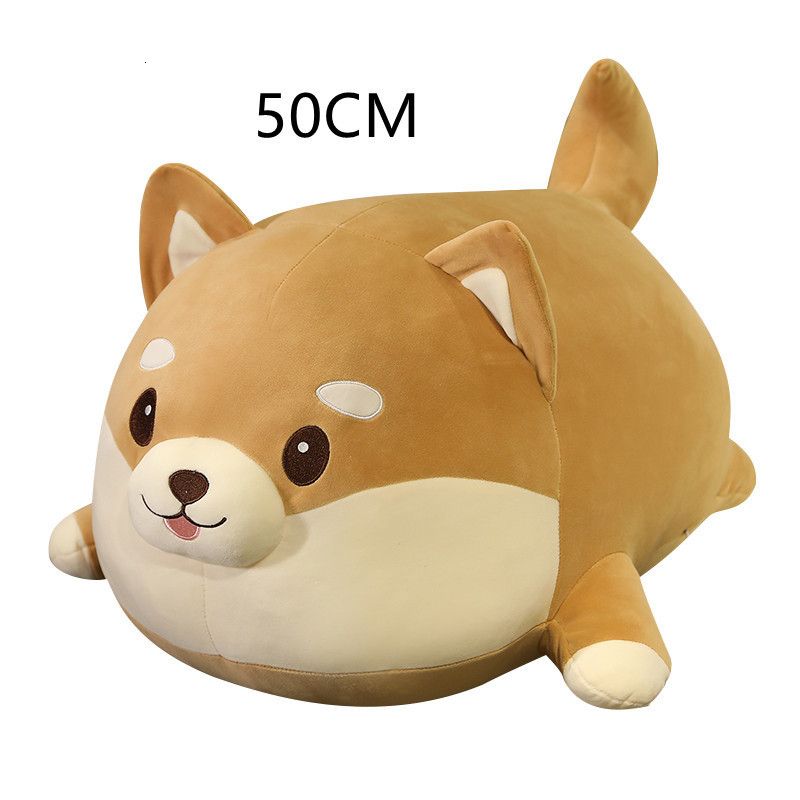 50 cm Fett Shiba