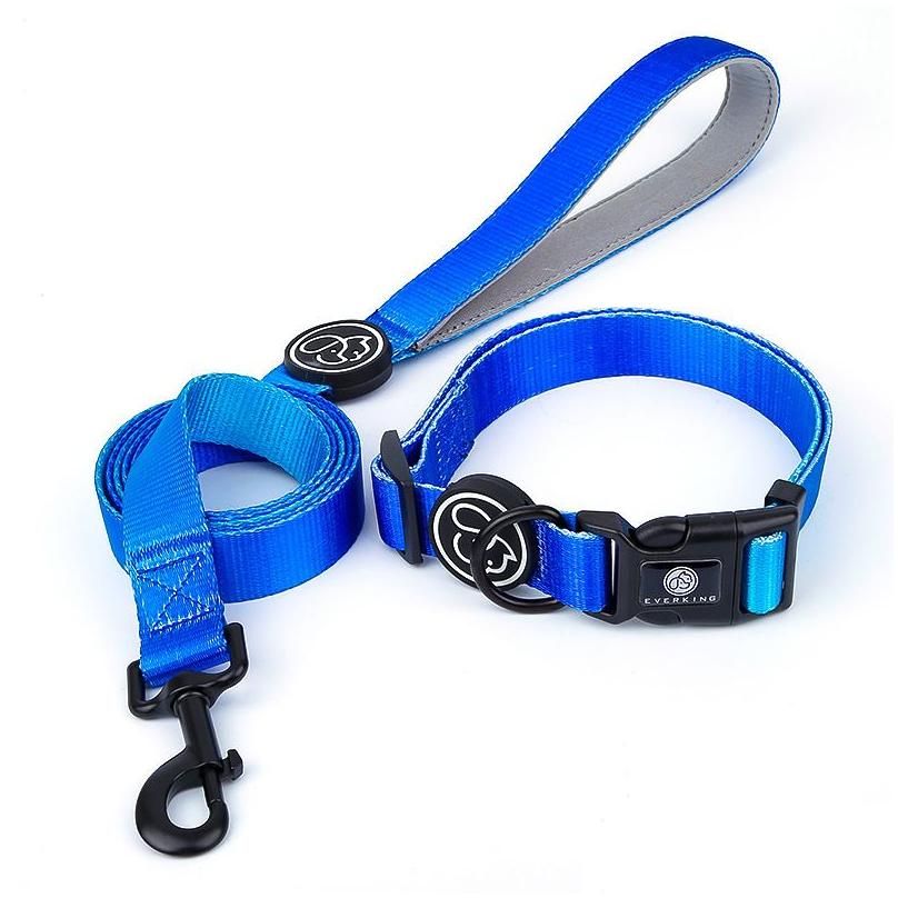 Blue Collar Leash