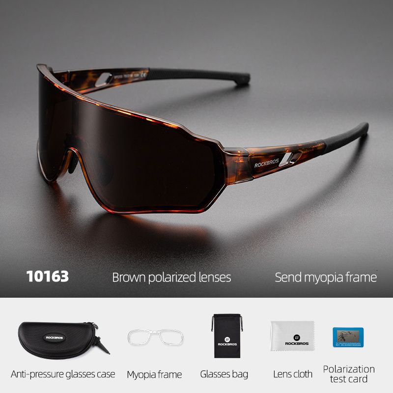 10163 Polarized