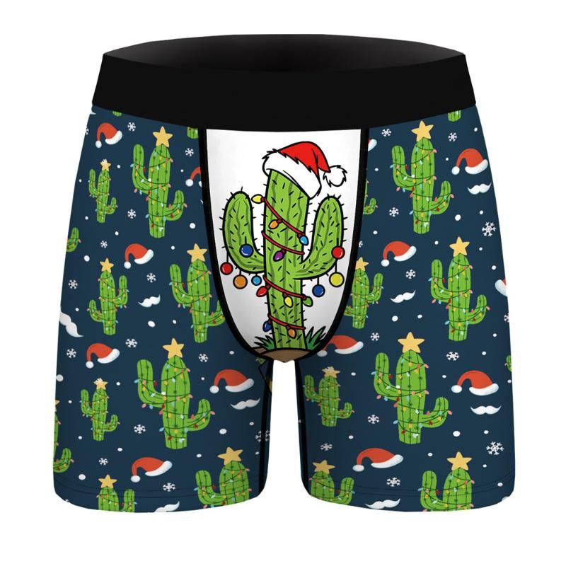 Boxer de Natal 24