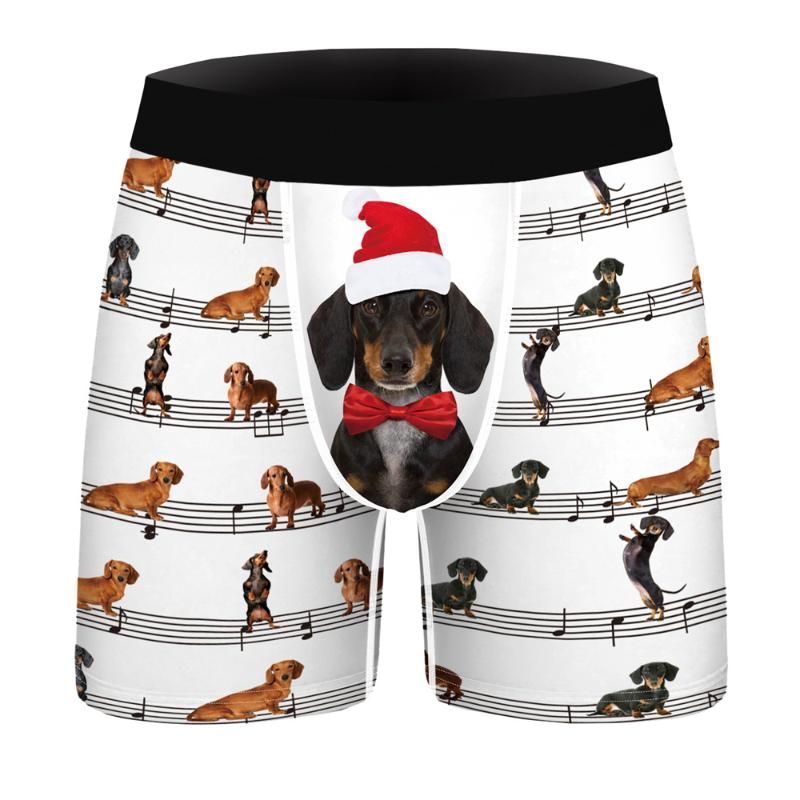 Boxer de Natal 15