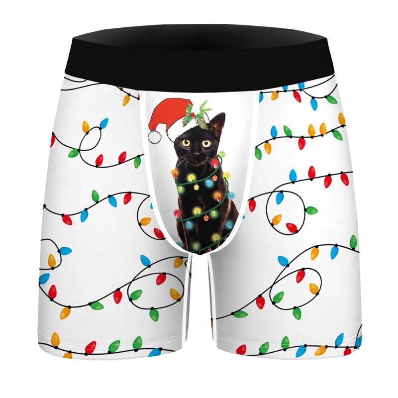 Boxer de Natal 20