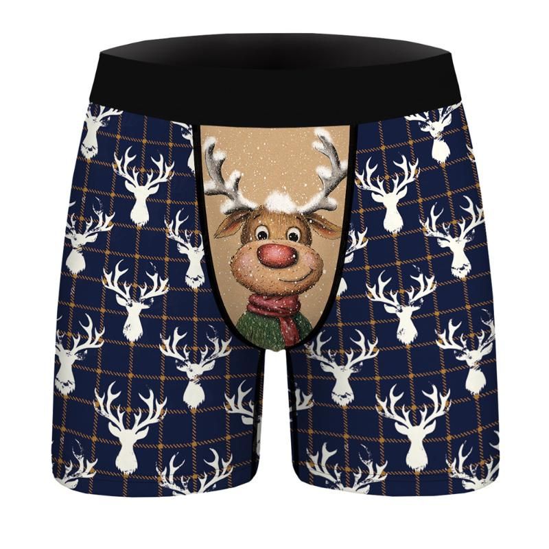 Boxer de Natal 23