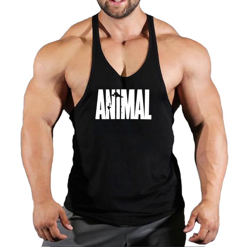 animal 7