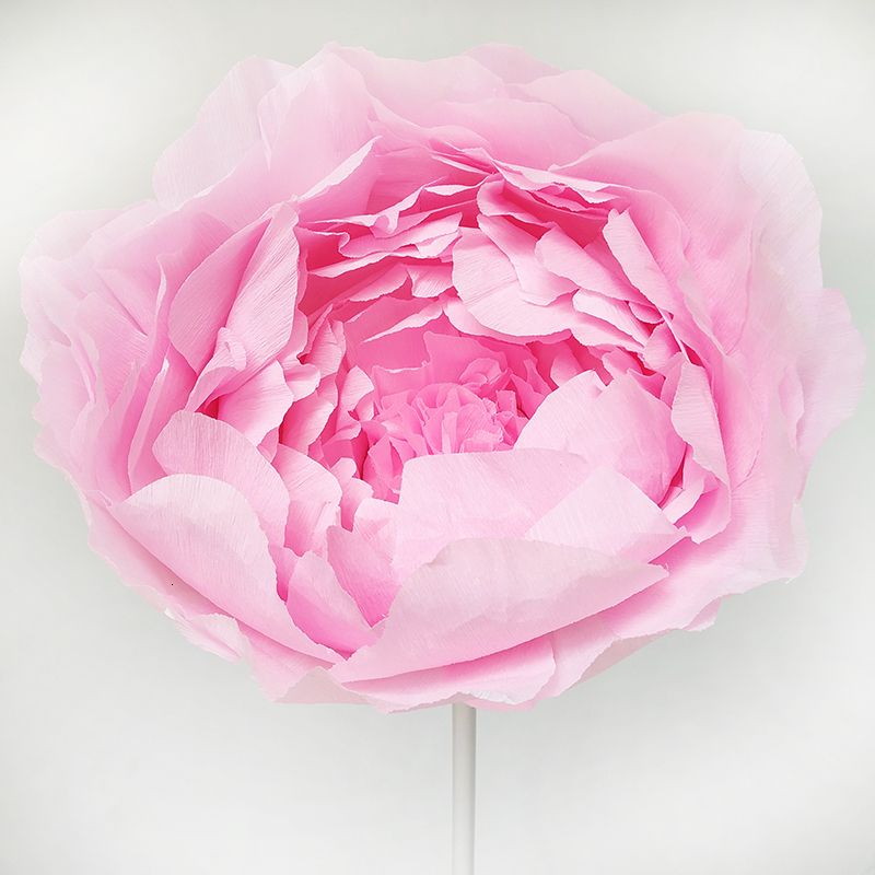 Roze 50 cm