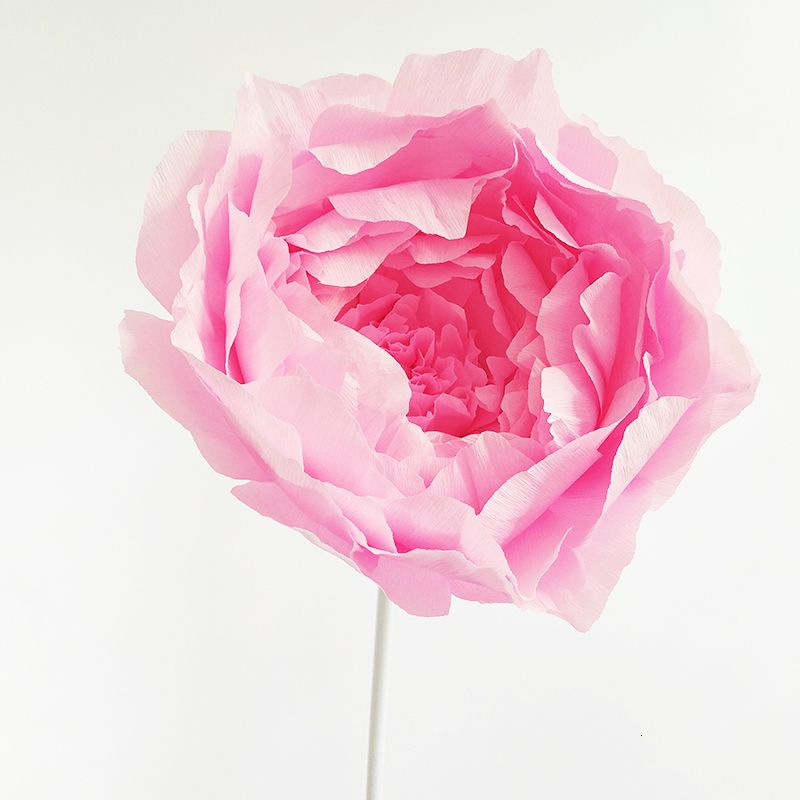 Rosa 40 cm