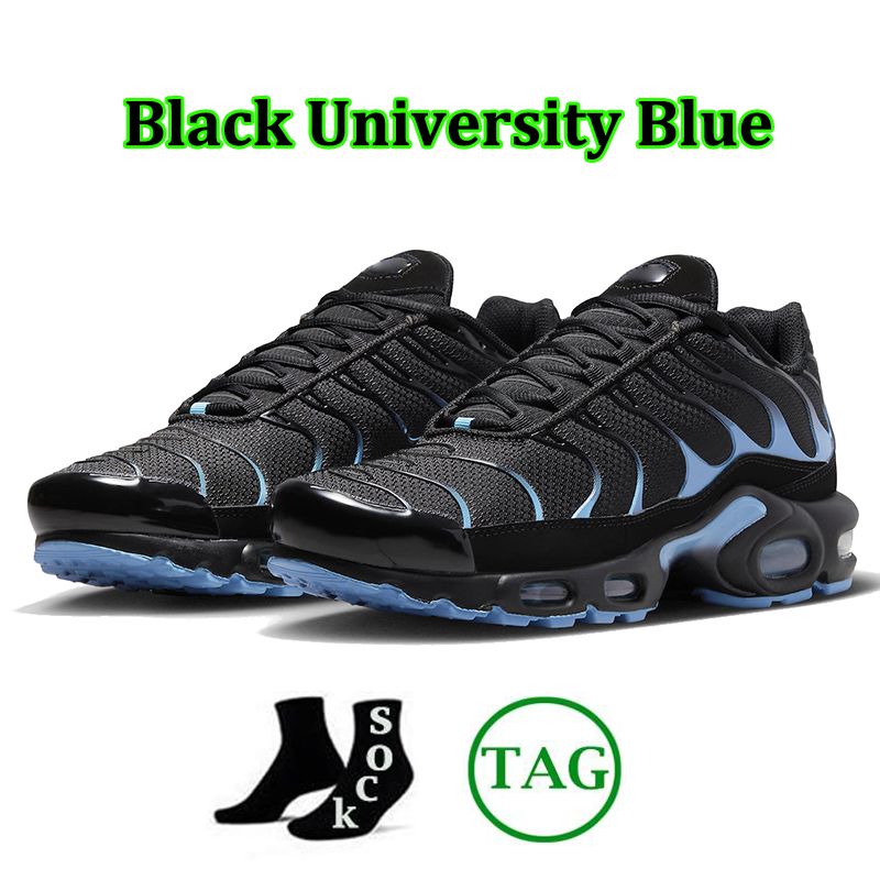 Black University Blue