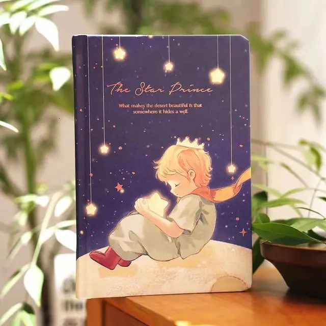 Petit Prince 12-Autre