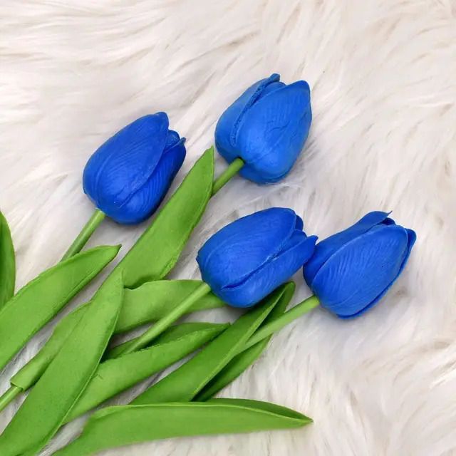 Royal Blue-5PCS