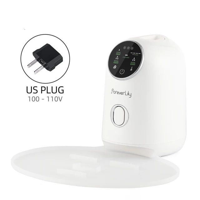 US Plug (100-110V)