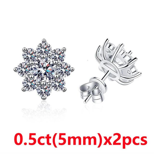 Earring 0.5ctx2p-Add Bag