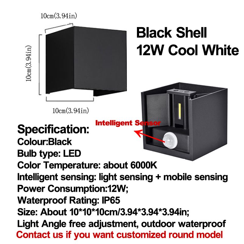 Intelligent Sensor Black Cool White 12W