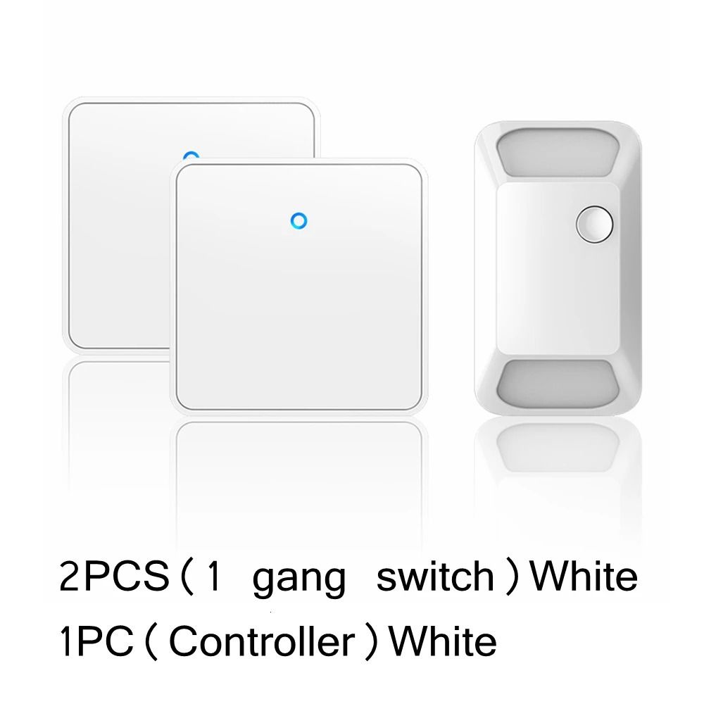 w 2x1 Gang 1receiver