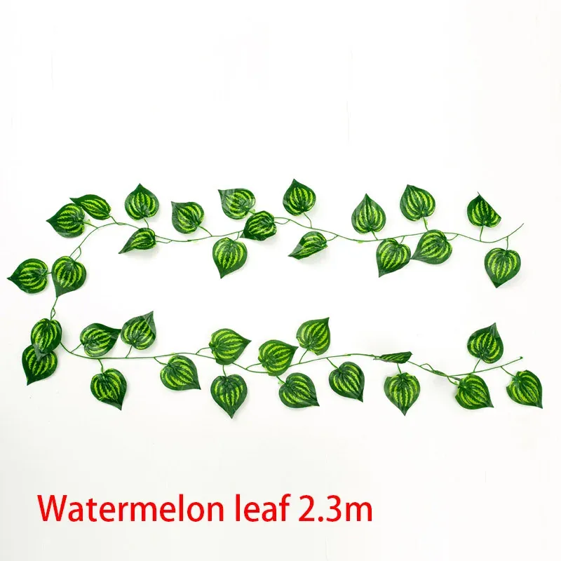 2.3m watermelon