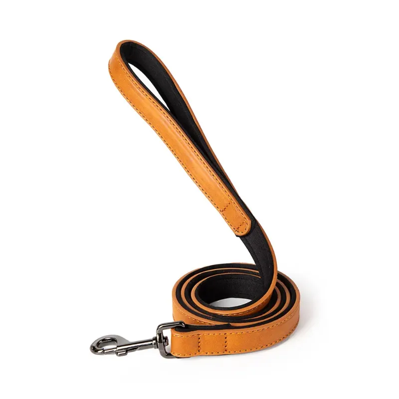 Light Brown Leash