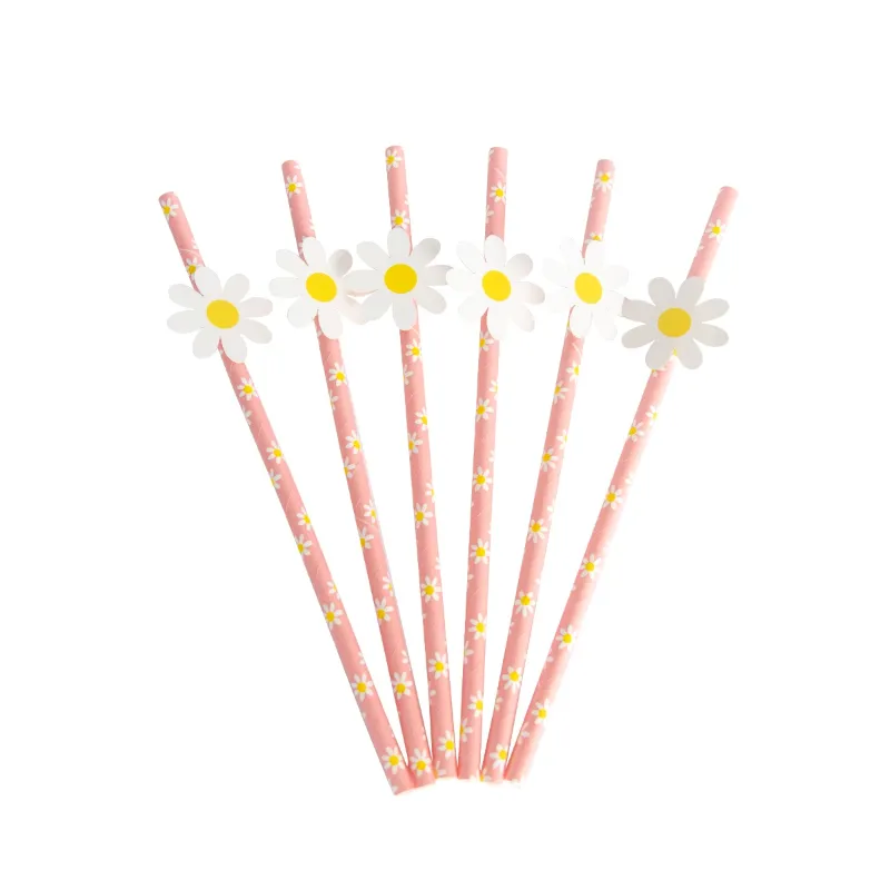 10pcs Pink Straw