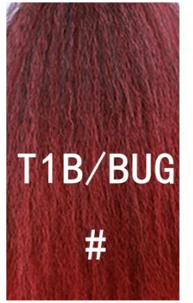 T1B -bug
