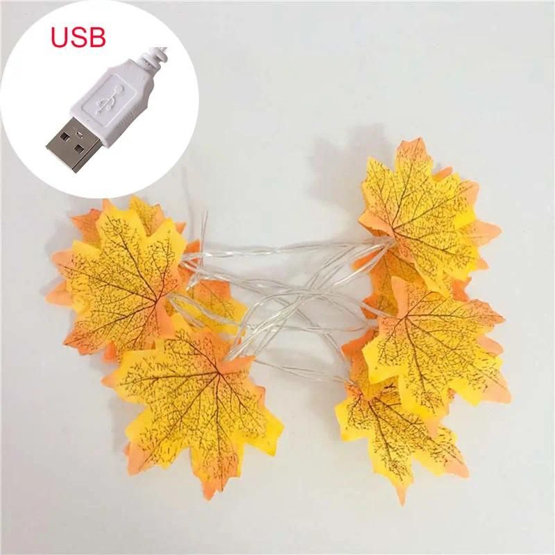 2M 10LED Yellow-USB