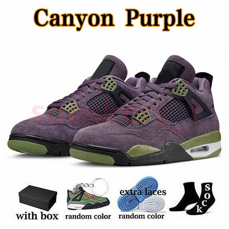 B19 Canyon Purple 40-47