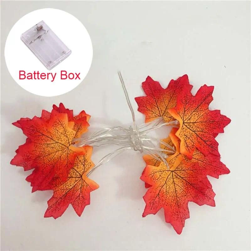 2M 10LED Orange-Battery Box