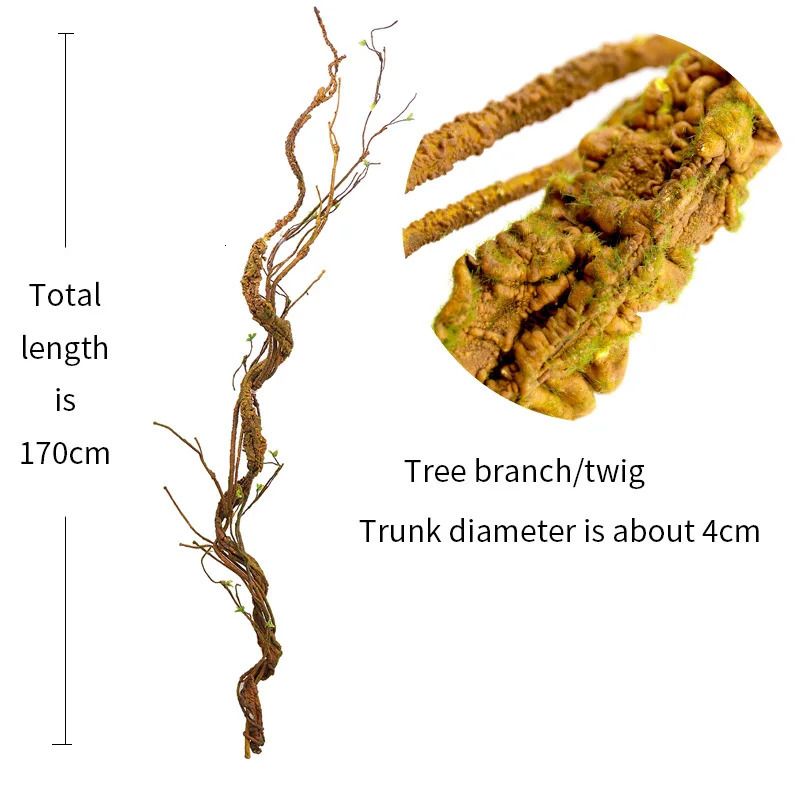 Tree Branch