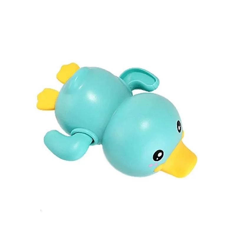 Blue Duck