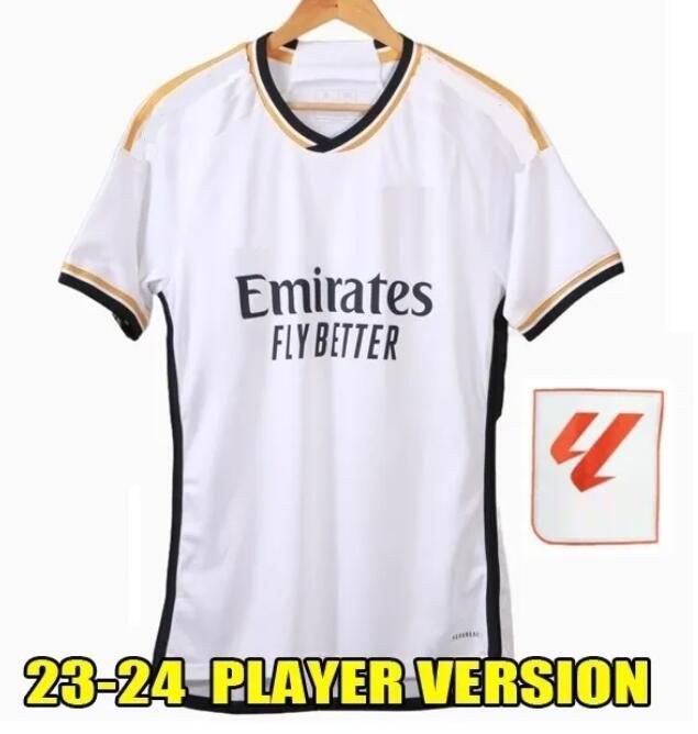 2324 Home Player Patch