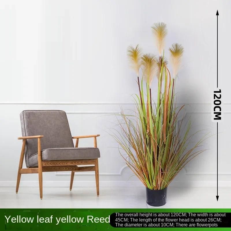 Yellow reed