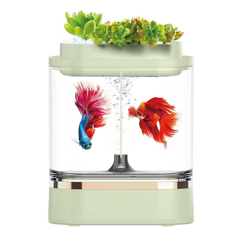 c300 Aquarium