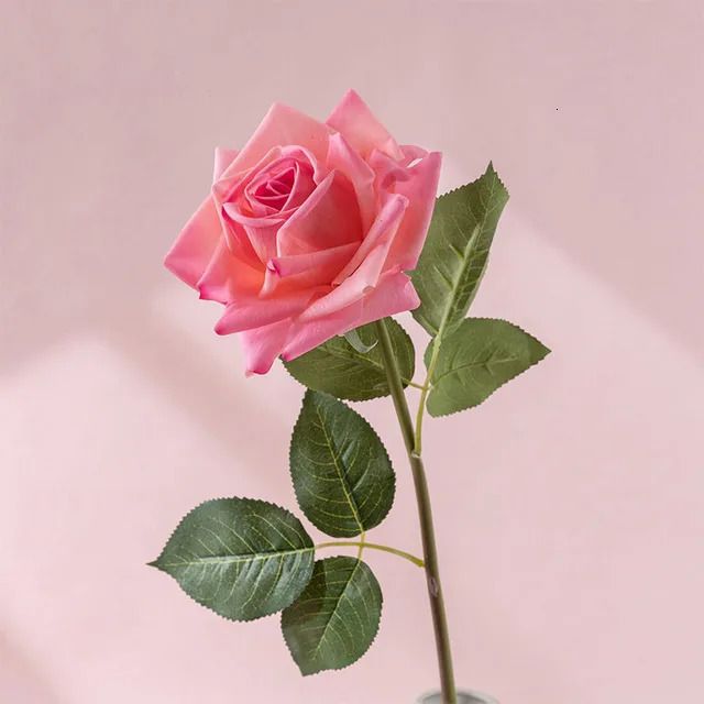 濃いピンクのバラ