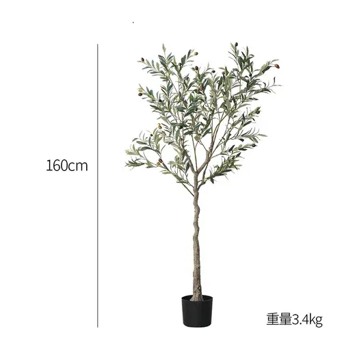 160cm olive